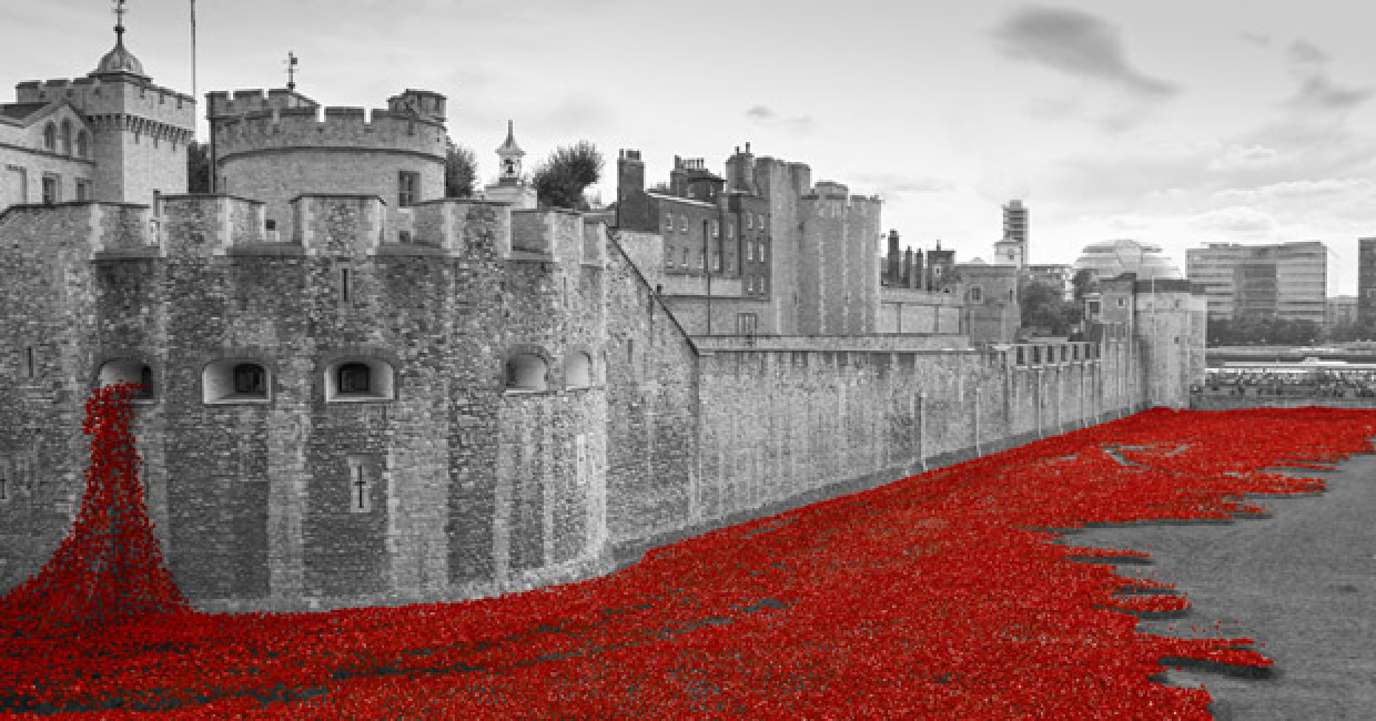 The world-famous Paul Cummins art installation features poppies which were used ISF's G-Col finish coating