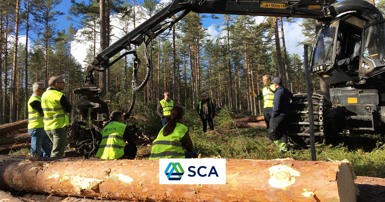 SCA Wood teach the teachers on timber production