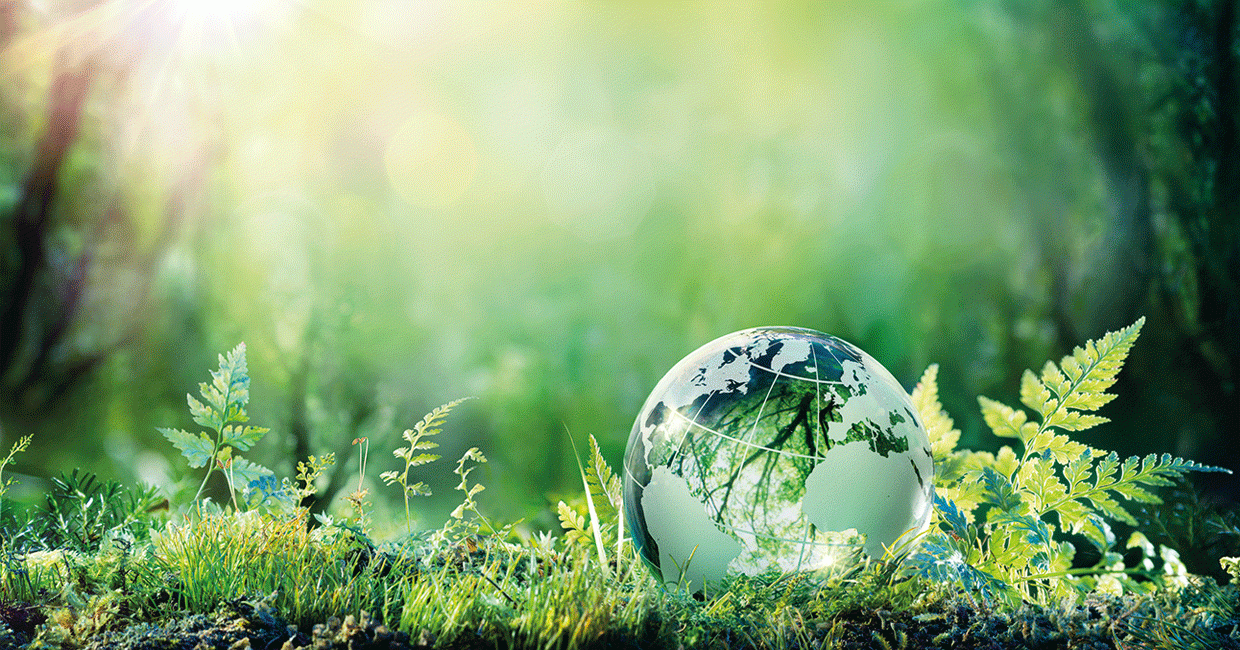Movac and Sayerlack – a program of environmental sustainability