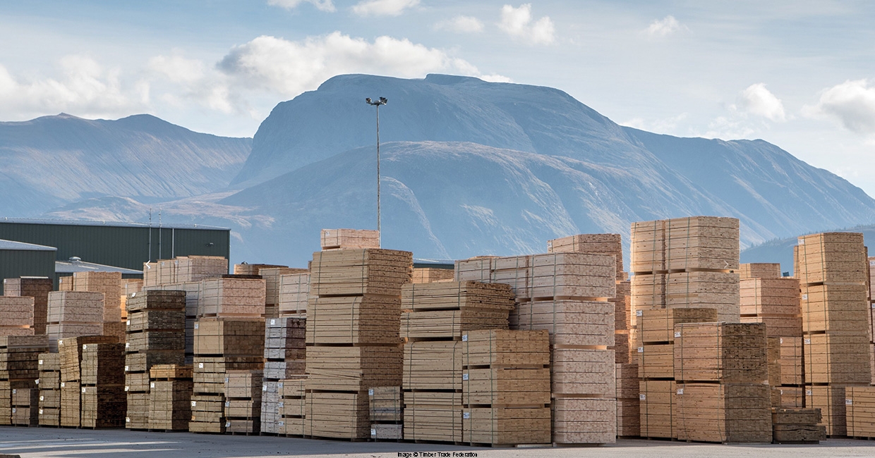 TTF finds softwood imports hold strong