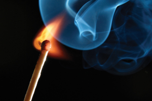 BFC supports rigorous flammability standards