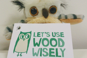 Norbord despatches parliament of owls to get Use Wood Wisely message to Parliament