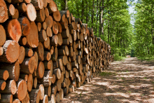 EU Timber Regulation