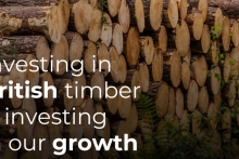 Industry welcomes commitment by UK Government to expand use of timber in construction